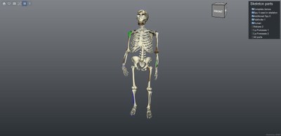 Spy skeleton.jpg