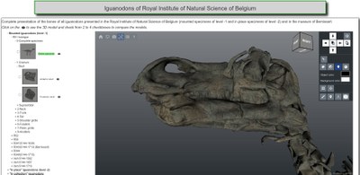 Surface Scanning Large Specimens Multiview.jpg