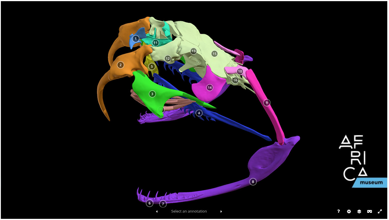 anatomy.jpg