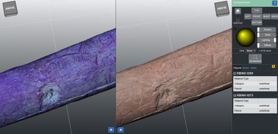 comparison view.jpg