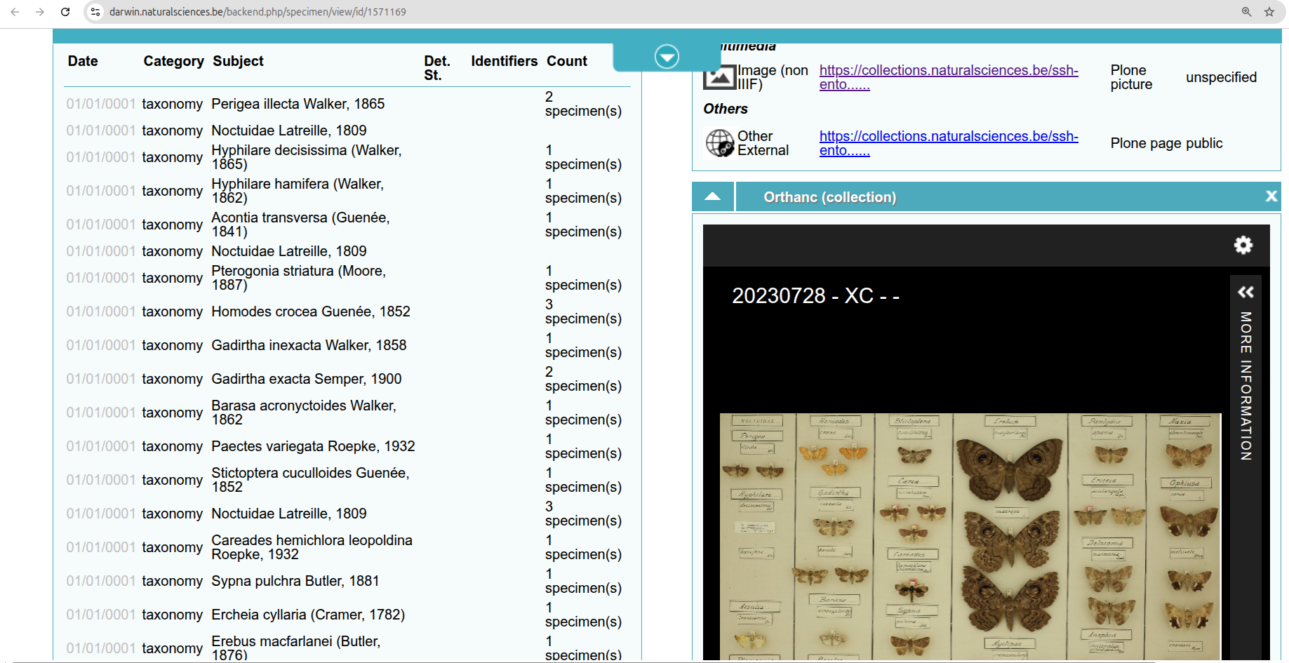 darwin-IIIF.jpg