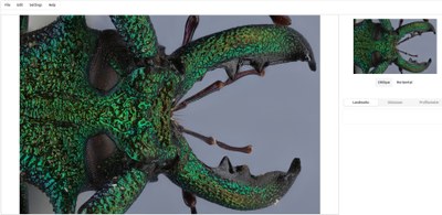 depthoptica-3.jpg