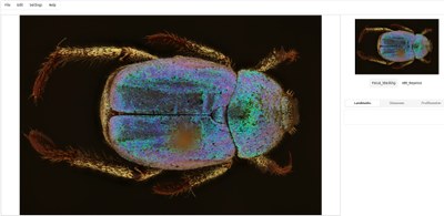 depthoptica-4.jpg