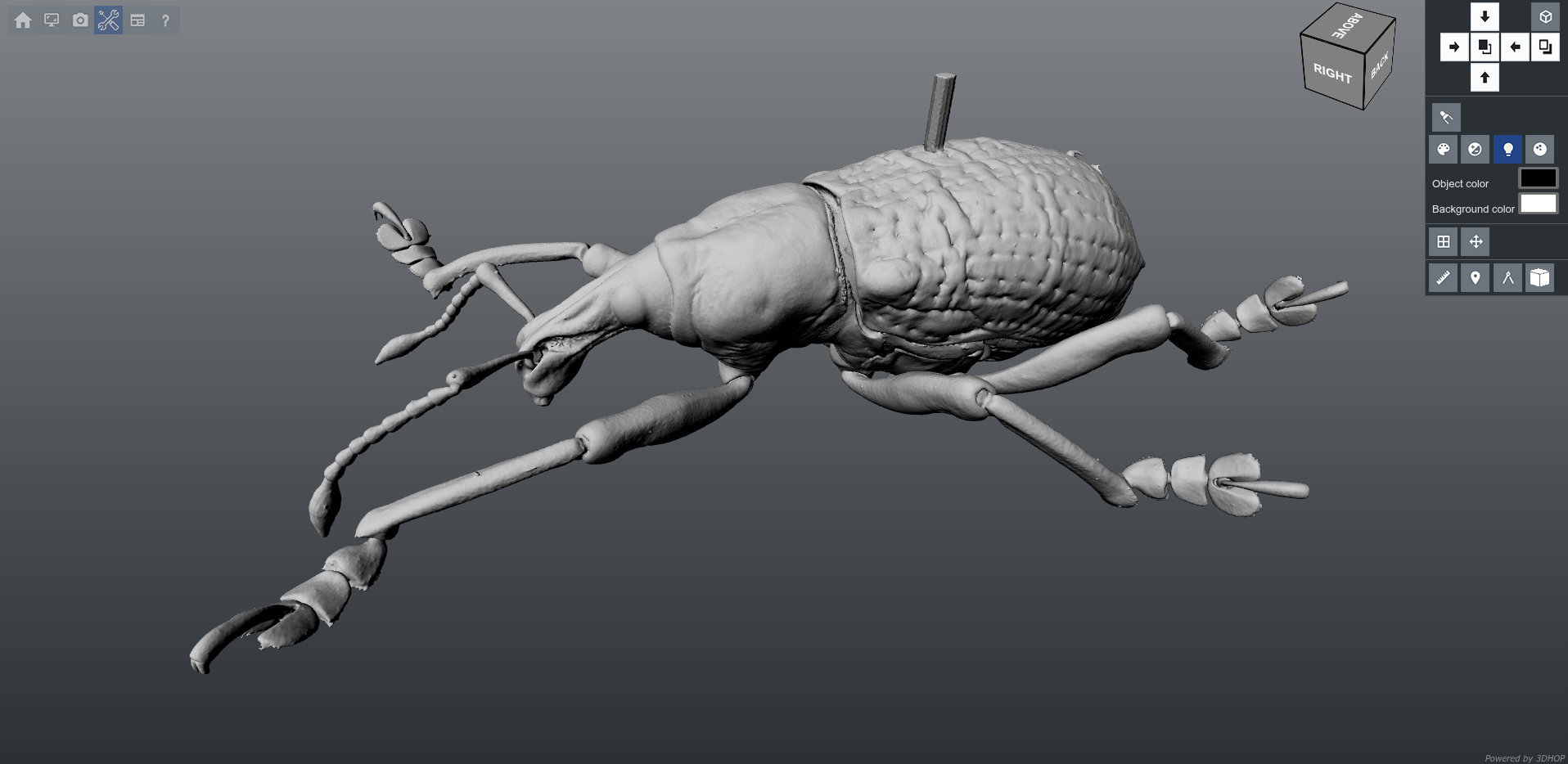 microCT.jpg