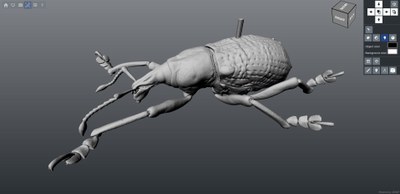 microCT.jpg