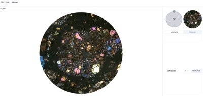 polaroptica.jpg