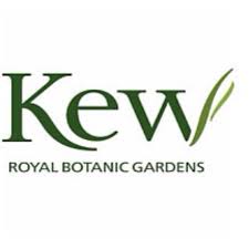 kew gardens.jpg