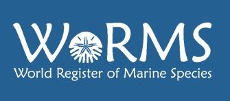 worms_logo
